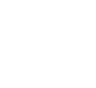 icon1