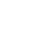 icon1