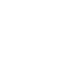 icon1