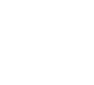 icon1