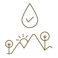 icon1