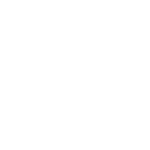 icon1