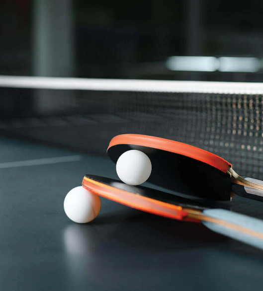 mrg-crown-table-tennis