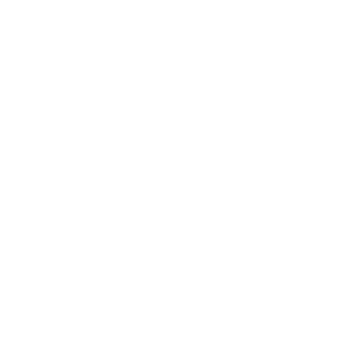 icon1
