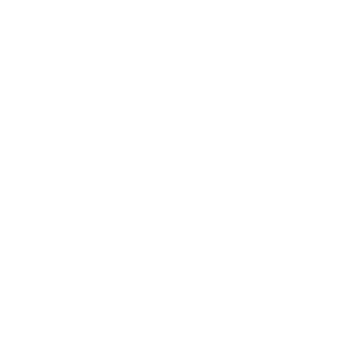 icon1