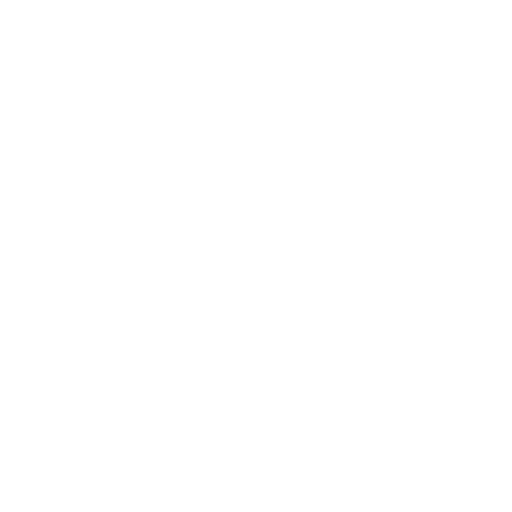 icon1