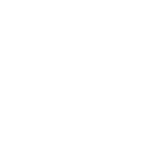icon1