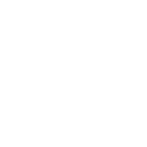 icon1